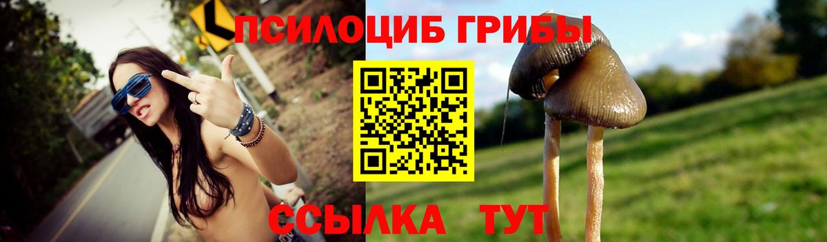Галлюциногенные грибы ЛСД  Вход с VPN  Краснокаменск 
